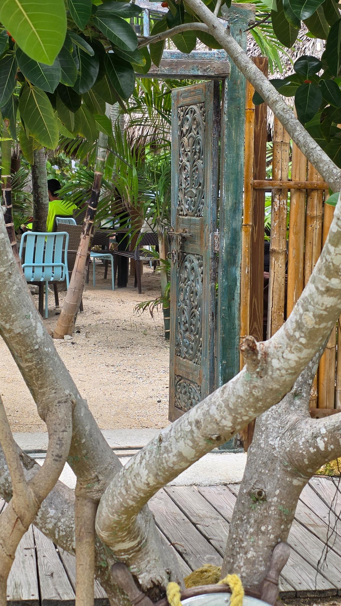 Carved antique door beneath the banyan tree at Patrona Coastal Café